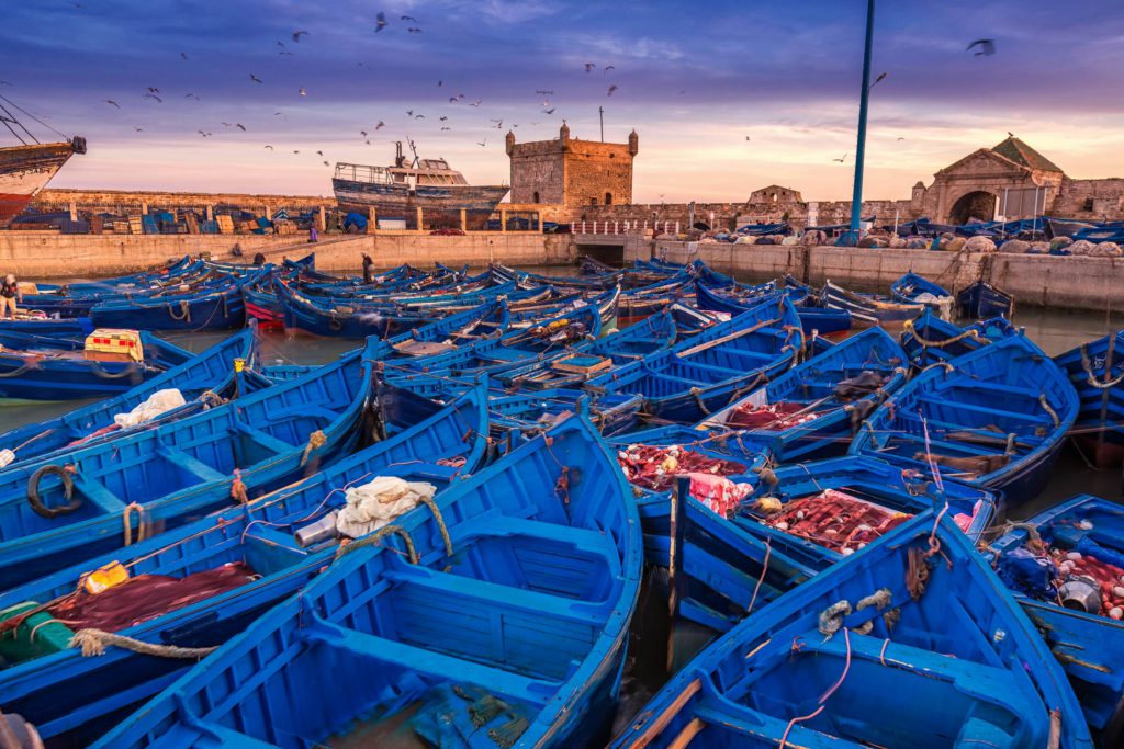 Marrakech to Essaouira Transfer